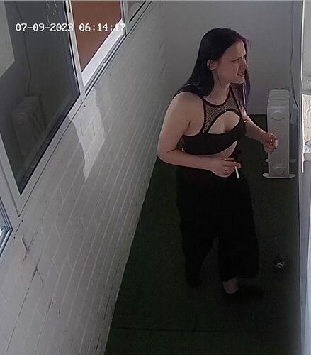 Screenshot 2023-07-08 at 23-23-17 Trisha apartment with reallifecam cameras at Voyeur House TV