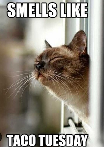 main-qimg-61ab1e0c71720573278c81602ba8702e