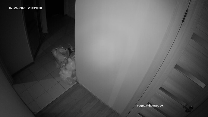 realm62-cam111-1753562417