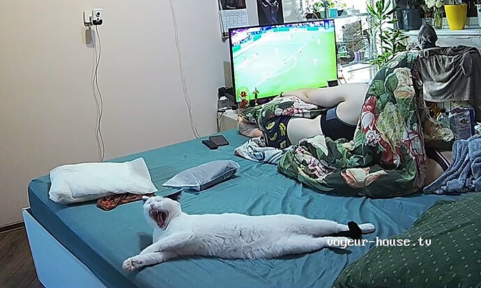 realm60-cam17-1759260550