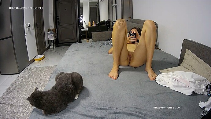 realm6-cam15-1724187072