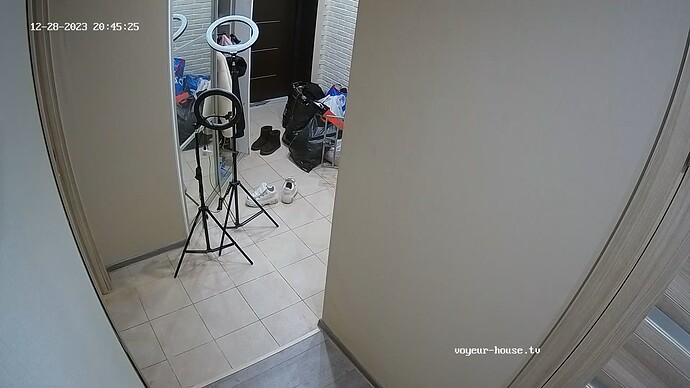 realm62-cam111-1703785564