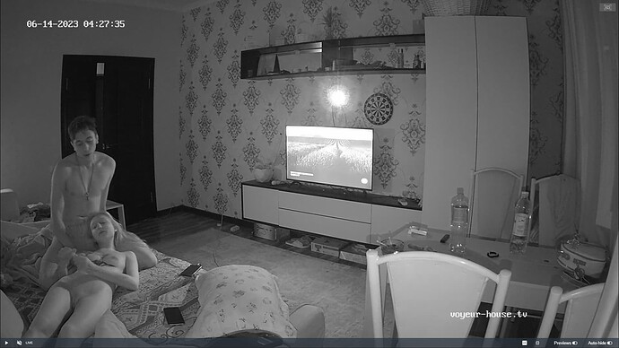 Ashampoo_Snap_mardi 13 juin 2023_23h30m1s_010_Living room camera at Edrym & Roza reallifecam apartment at Voyeur House TV (cam13) - Google Chrome