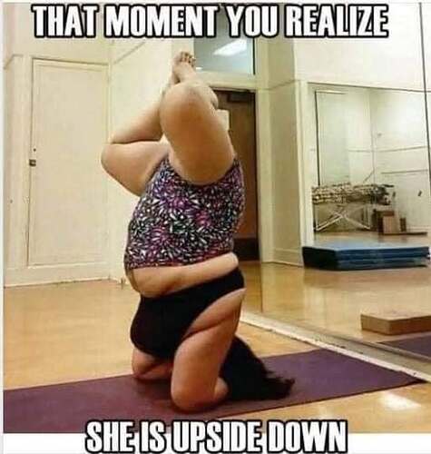 479517627_9833086446718585_4136847612613605676_n