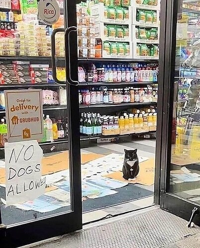 main-qimg-5a6924bc539953af15cc1bc02cf276ba