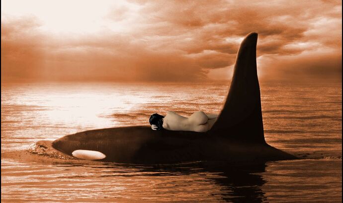 WhaleTour4-2