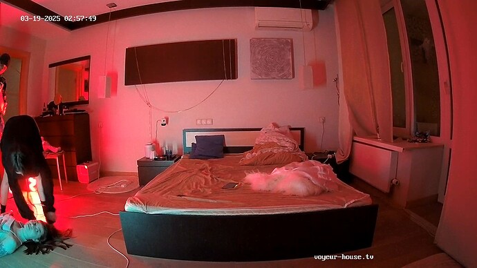 realm55-cam113-1742331928