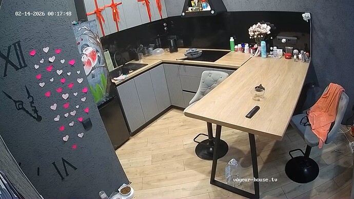 MerryAora-20260214-01-proof