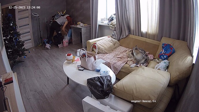 realm62-cam13-1703508842