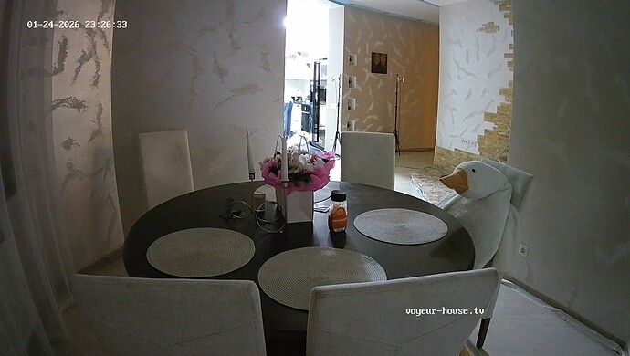 realm8-cam13-1769290141