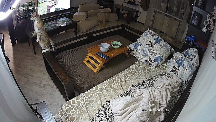 realm64-cam16-1762557542