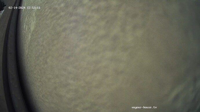 realm87-cam19-1707933217