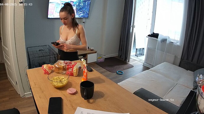 Ashampoo_Snap_mardi 8 avril 2025_17h16m25s_006_Living room camera at Lyalya reallifecam apartment at Voyeur House TV (cam13) - Google Chrome
