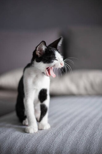 main-qimg-85fe536b8d28cc912f0c734a1f7c9bf6