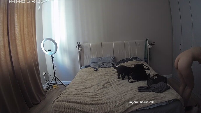 realm155-cam18-1792744327