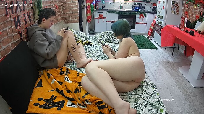 realm5-cam14-1766791349