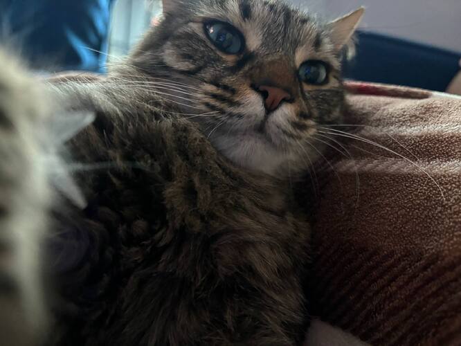 photo_2026-01-25_08-35-42