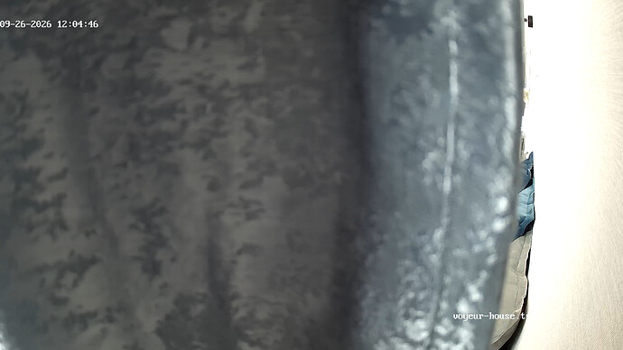 realm171-cam14-1790413517