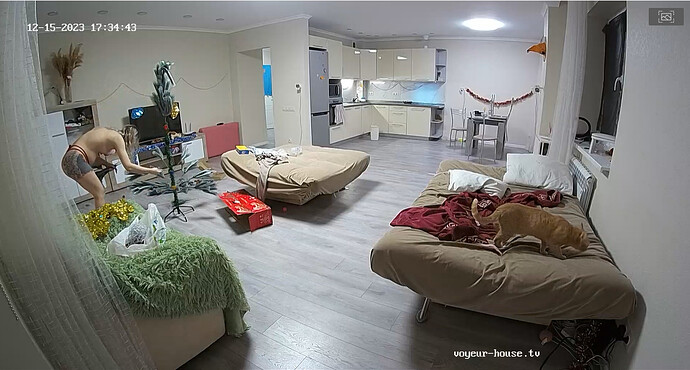 bandicam 2023-12-15 14-35-27-607