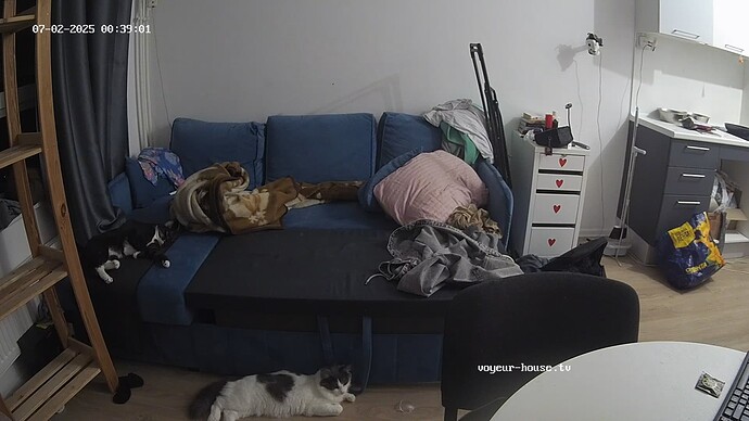 videoframe_8325