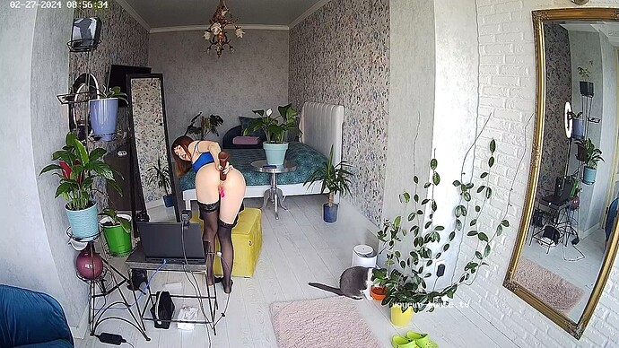 realm35-cam18-1709021302