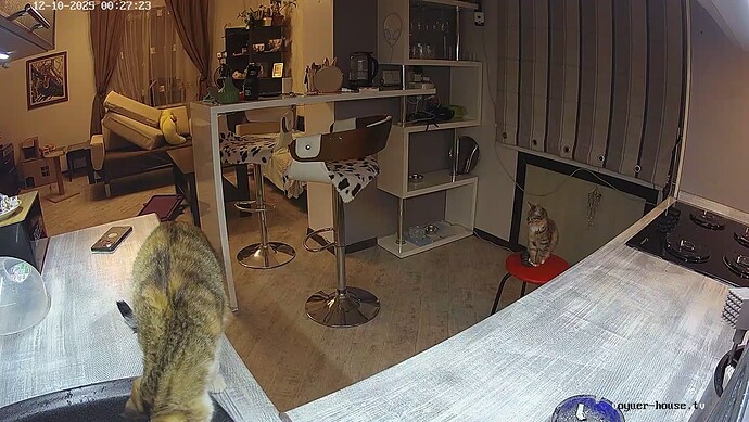 realm64-cam11-1765315665