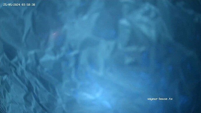 realm23-cam15-1716636892