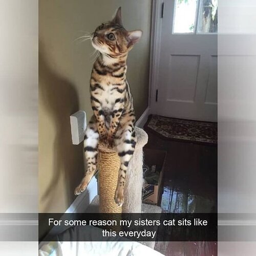 main-qimg-6e593355d183b139ee67ff357a9aeb78-lq