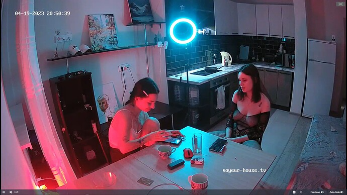 Ashampoo_Snap_mercredi 19 avril 2023_19h51m10s_002_Jakar & Lilka apartment with reallifecam cameras at Voyeur House TV - Google Chrome