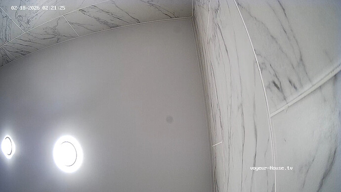 realm141-cam110-1771445183