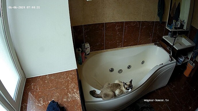 realm18-cam111-1717652439