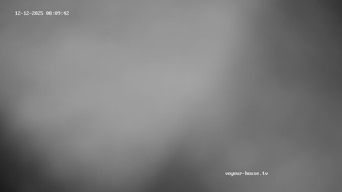 realm62-cam110-1765517789