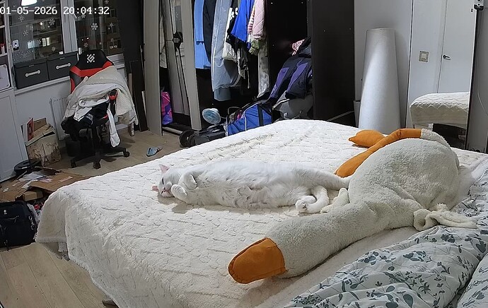 realm111-cam16-1767636928