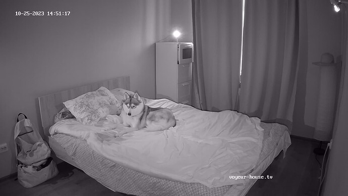 realm62-cam18-1698234714