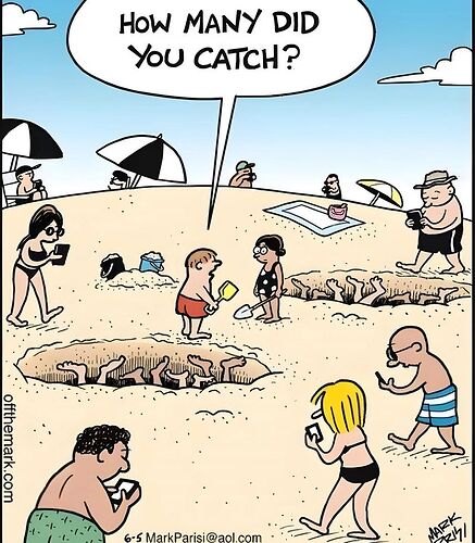 433115815_1581696585996058_262982493006793669_n