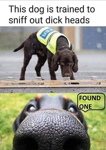 493937547_1096709959152982_1678087483604784054_n