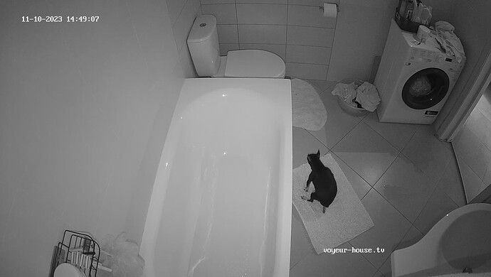 realm49-cam110-1699617604