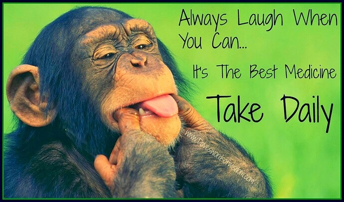 laugh