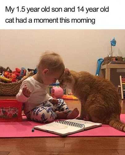 main-qimg-dcea8dd976e99d5a101570065e77da74