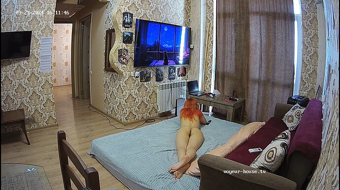 Ashampoo_Snap_lundi 23 septembre 2024_14h12m28s_001_Living room camera at Roy & Cheryl reallifecam apartment at Voyeur House TV (cam13) - Google Chrome