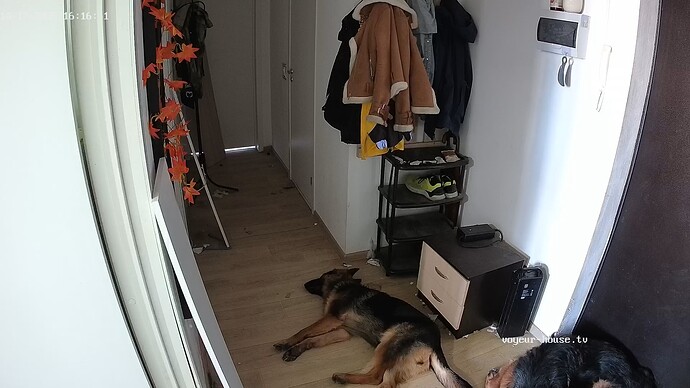 realm111-cam110-1760707031