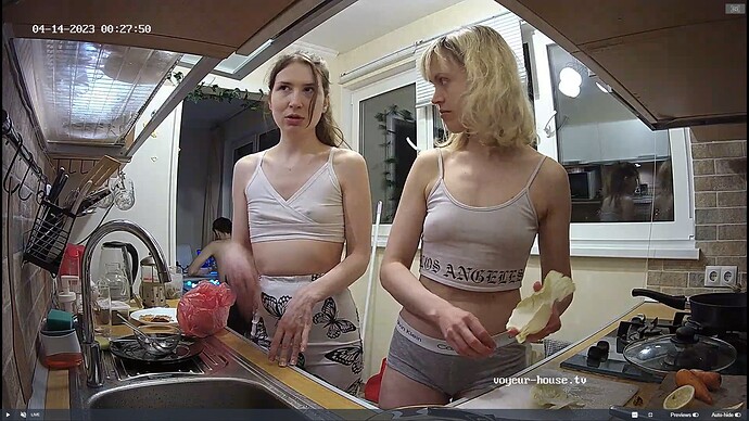 Ashampoo_Snap_jeudi 13 avril 2023_23h28m57s_023_Hut TV apartment with reallifecam cameras at Voyeur House TV - Google Chrome