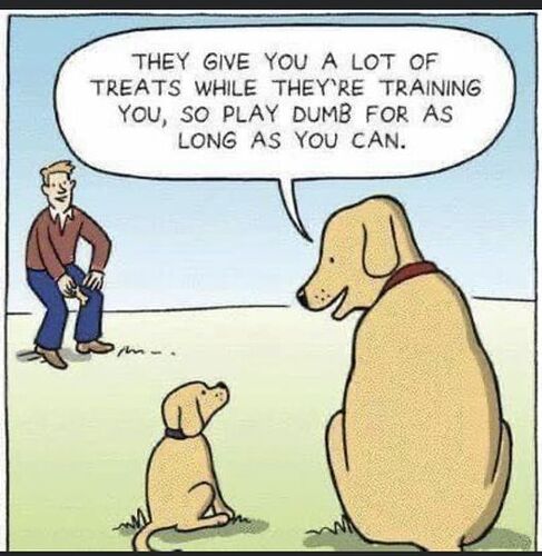 376274990_716090147205878_7147959938442948189_n