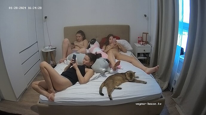 realm33-cam18-1706448506