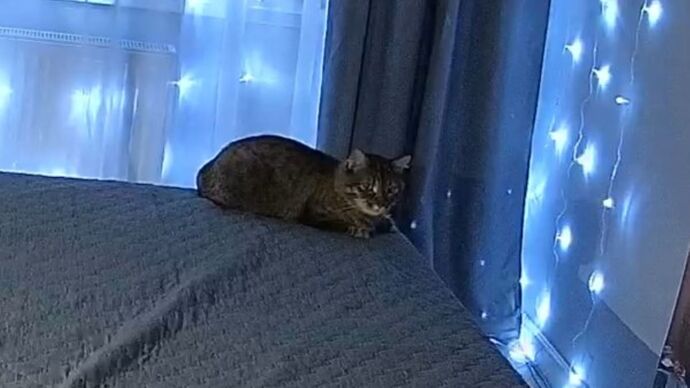 realm144-cam18-1768950478_2