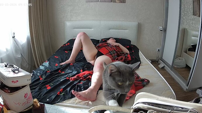 realm5-cam17-1773560423