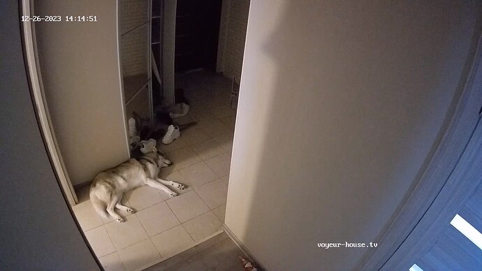 realm62-cam111-1703589327