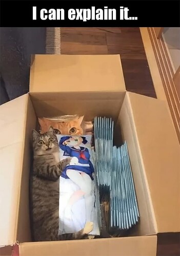 I Can Explain