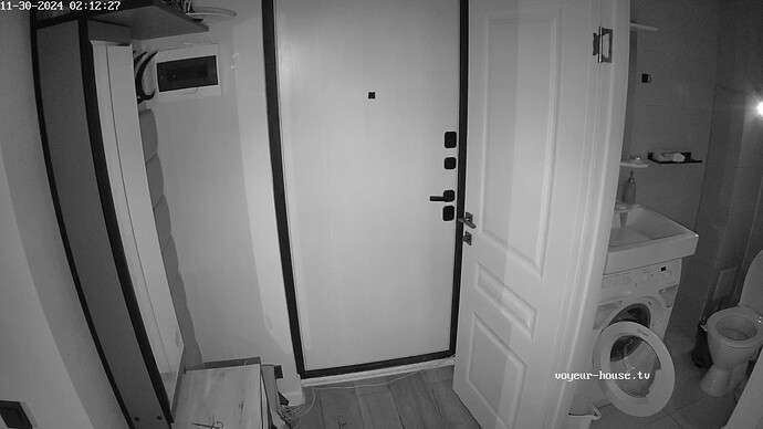 realm41-cam110-1732975802