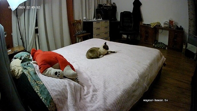 realm18-cam16-1717789874